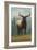 Jackson Hole, Wyoming - Elk-Lantern Press-Framed Art Print