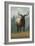 Jackson Hole, Wyoming - Elk-Lantern Press-Framed Art Print