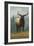 Jackson Hole, Wyoming - Elk-Lantern Press-Framed Art Print