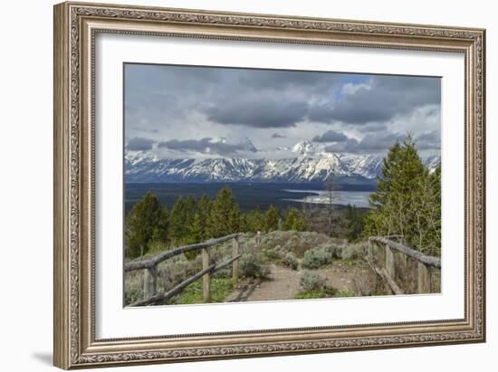 Jackson Lake Overlook GTNP-Galloimages Online-Framed Photographic Print