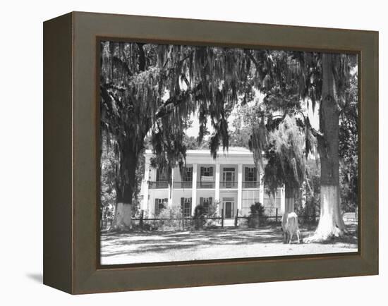 Jackson Plantation Home-Marion Post Wolcott-Framed Premier Image Canvas