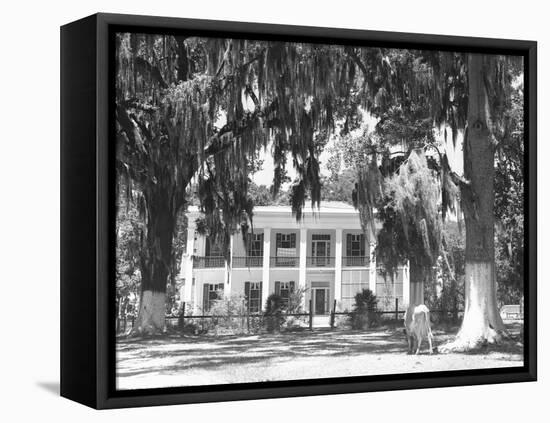 Jackson Plantation Home-Marion Post Wolcott-Framed Premier Image Canvas