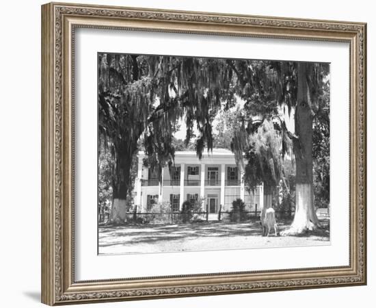 Jackson Plantation Home-Marion Post Wolcott-Framed Photographic Print