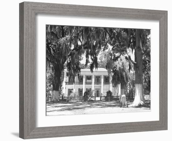 Jackson Plantation Home-Marion Post Wolcott-Framed Photographic Print