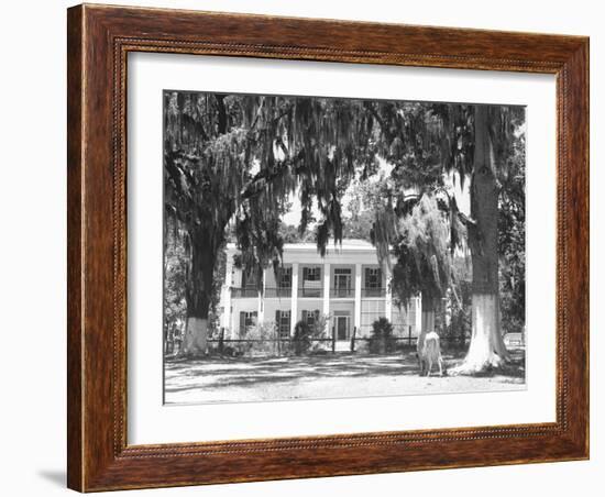 Jackson Plantation Home-Marion Post Wolcott-Framed Photographic Print