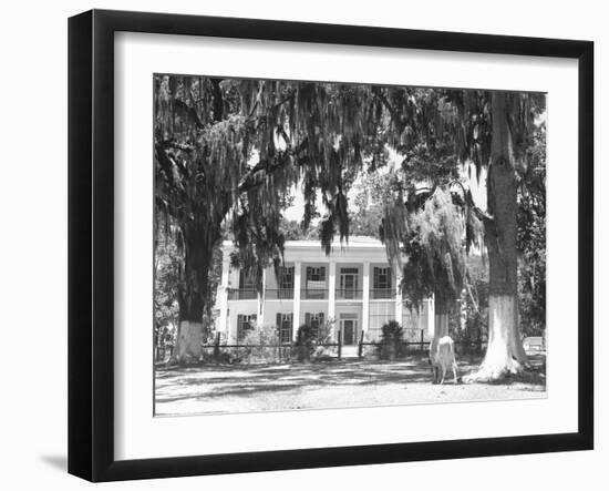 Jackson Plantation Home-Marion Post Wolcott-Framed Photographic Print