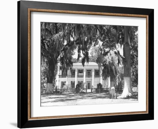 Jackson Plantation Home-Marion Post Wolcott-Framed Photographic Print