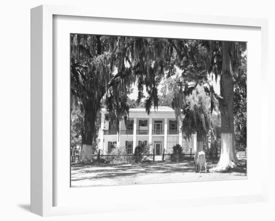 Jackson Plantation Home-Marion Post Wolcott-Framed Photographic Print