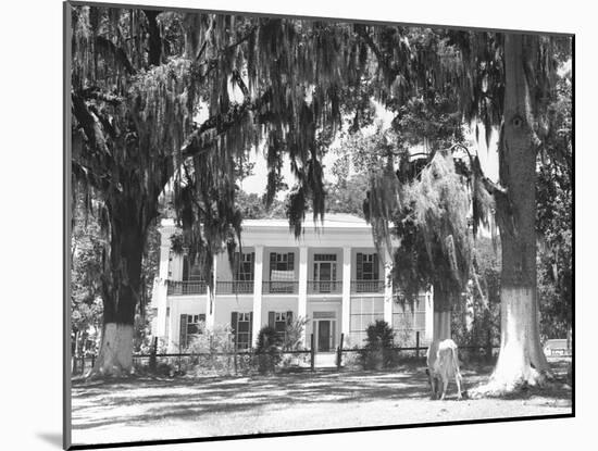 Jackson Plantation Home-Marion Post Wolcott-Mounted Photographic Print