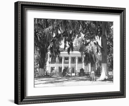 Jackson Plantation Home-Marion Post Wolcott-Framed Photographic Print