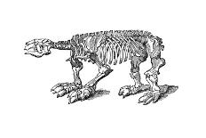 Skeleton of Megatherium, Extinct Giant Ground Sloth, 1833-Jackson-Framed Giclee Print
