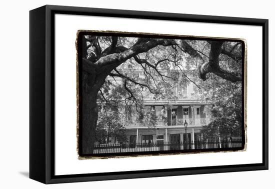 Jackson Square, New Orleans-Laura Denardo-Framed Stretched Canvas