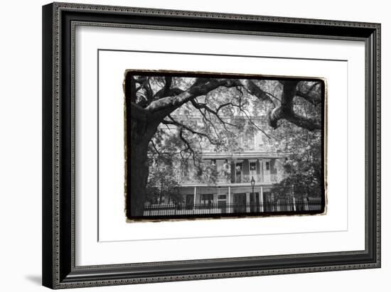 Jackson Square, New Orleans-Laura Denardo-Framed Art Print