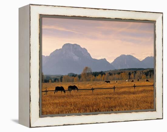 Jackson, Teton Range, Wyoming, USA-Walter Bibikow-Framed Premier Image Canvas