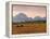 Jackson, Teton Range, Wyoming, USA-Walter Bibikow-Framed Premier Image Canvas