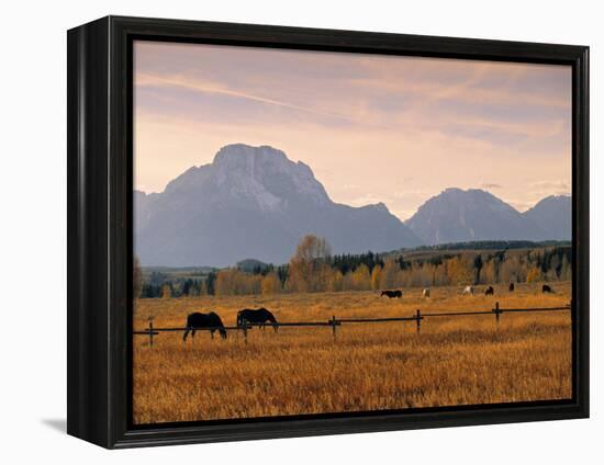 Jackson, Teton Range, Wyoming, USA-Walter Bibikow-Framed Premier Image Canvas