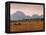 Jackson, Teton Range, Wyoming, USA-Walter Bibikow-Framed Premier Image Canvas