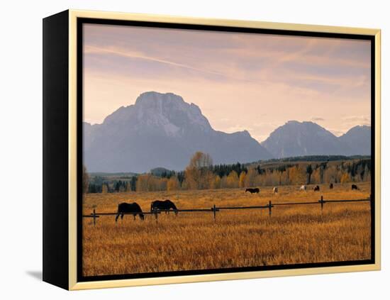 Jackson, Teton Range, Wyoming, USA-Walter Bibikow-Framed Premier Image Canvas
