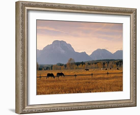 Jackson, Teton Range, Wyoming, USA-Walter Bibikow-Framed Photographic Print