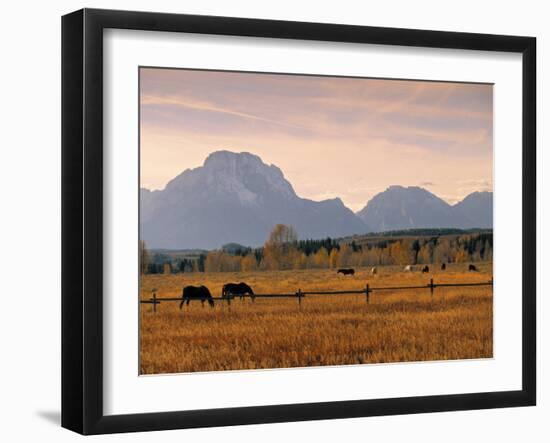 Jackson, Teton Range, Wyoming, USA-Walter Bibikow-Framed Photographic Print