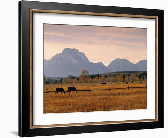 Jackson, Teton Range, Wyoming, USA-Walter Bibikow-Framed Photographic Print