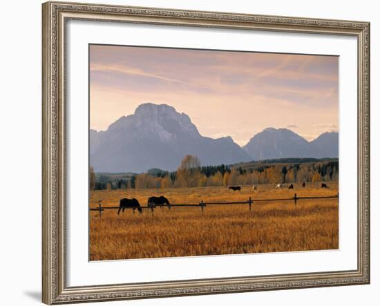 Jackson, Teton Range, Wyoming, USA-Walter Bibikow-Framed Photographic Print