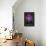 Jackson-Octavian Mielu-Framed Stretched Canvas displayed on a wall