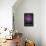 Jackson-Octavian Mielu-Framed Stretched Canvas displayed on a wall