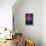 Jackson-Octavian Mielu-Framed Stretched Canvas displayed on a wall