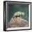 Jacksons Chameleon, Kenya, East Africa, Africa-Robert Harding-Framed Photographic Print