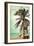 Jacksonville, Florida - Lifeguard Shack and Palm-Lantern Press-Framed Art Print