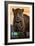 Jacksonville Zoo and Gardens - 100th - Jaguar-Lantern Press-Framed Art Print