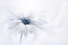 Purity-Jacky Parker-Photographic Print