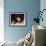 Jaclyn Smith-null-Framed Photo displayed on a wall