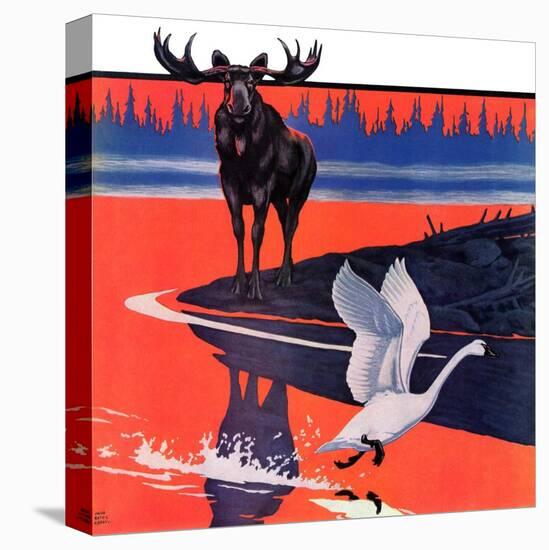 Stretched Canvas Print, , large