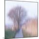 Premium Photographic Print