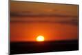 Premium Photographic Print