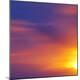 Premium Photographic Print