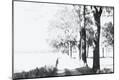 Photographic Print