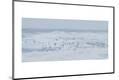 Premium Photographic Print