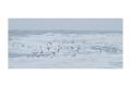 Premium Photographic Print