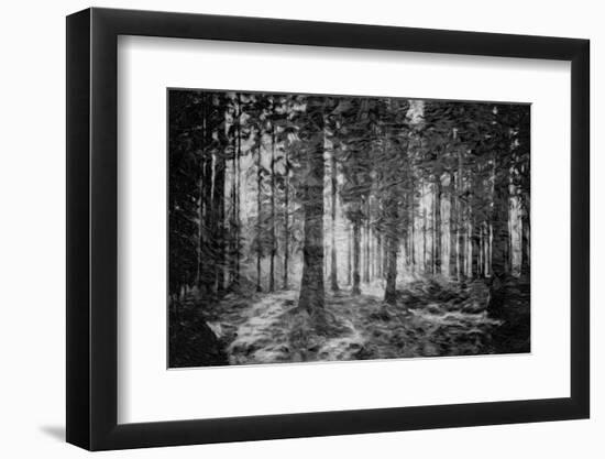Photographic Print, , large