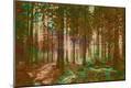 Photographic Print