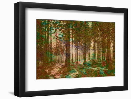 Photographic Print, , large