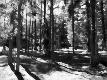 Premium Photographic Print