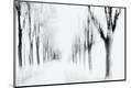 Photographic Print