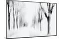 Premium Photographic Print