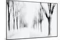 Photographic Print