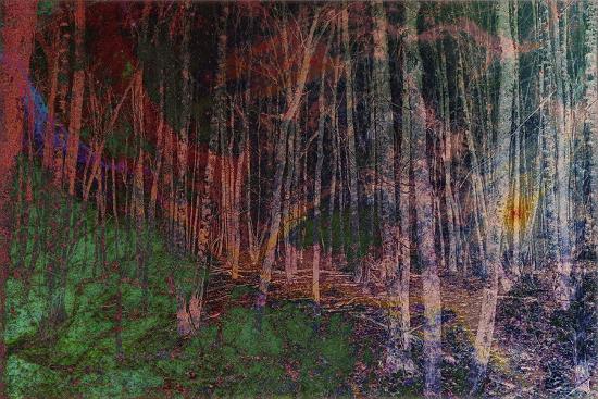 Photographic Print, , large