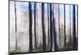 Premium Photographic Print